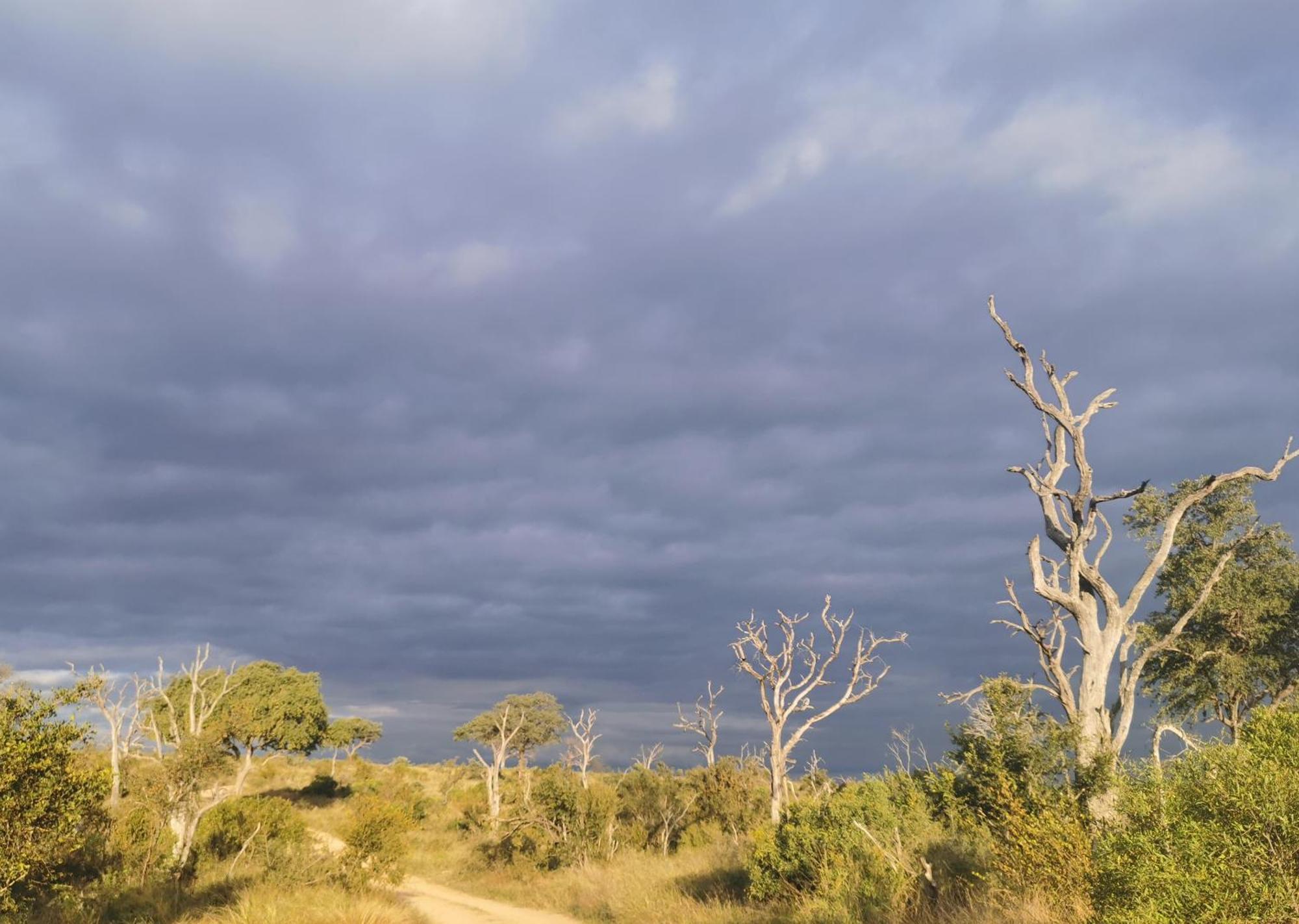 Mjejane Bush Camp By Dream Resorts Hectorspruit Екстериор снимка