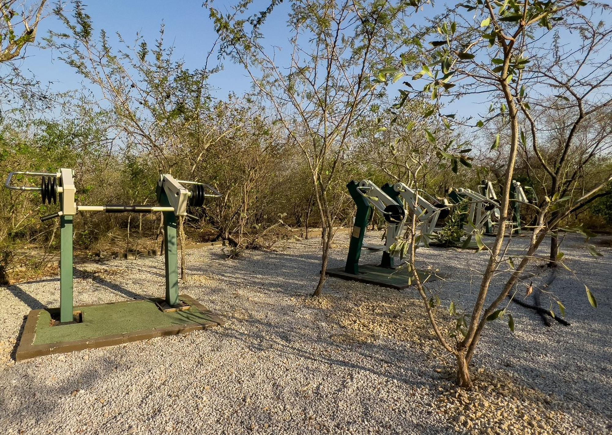 Mjejane Bush Camp By Dream Resorts Hectorspruit Екстериор снимка